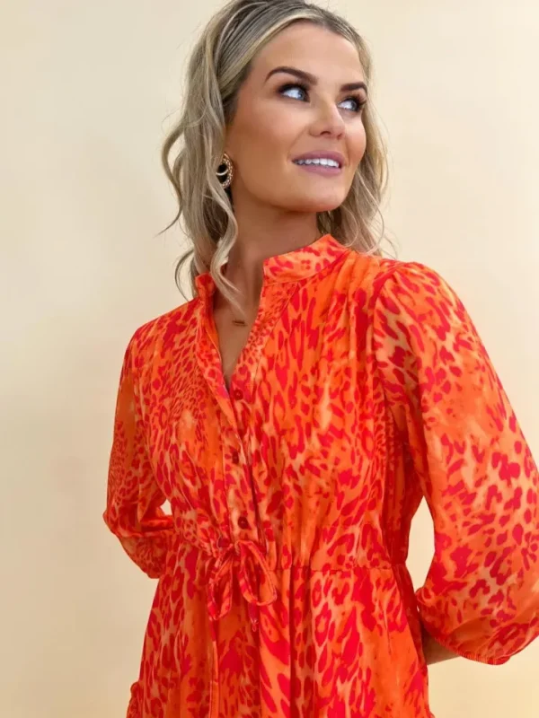 Kate & Pippa Occasionwear<The Latina Mini Dress (Orange)